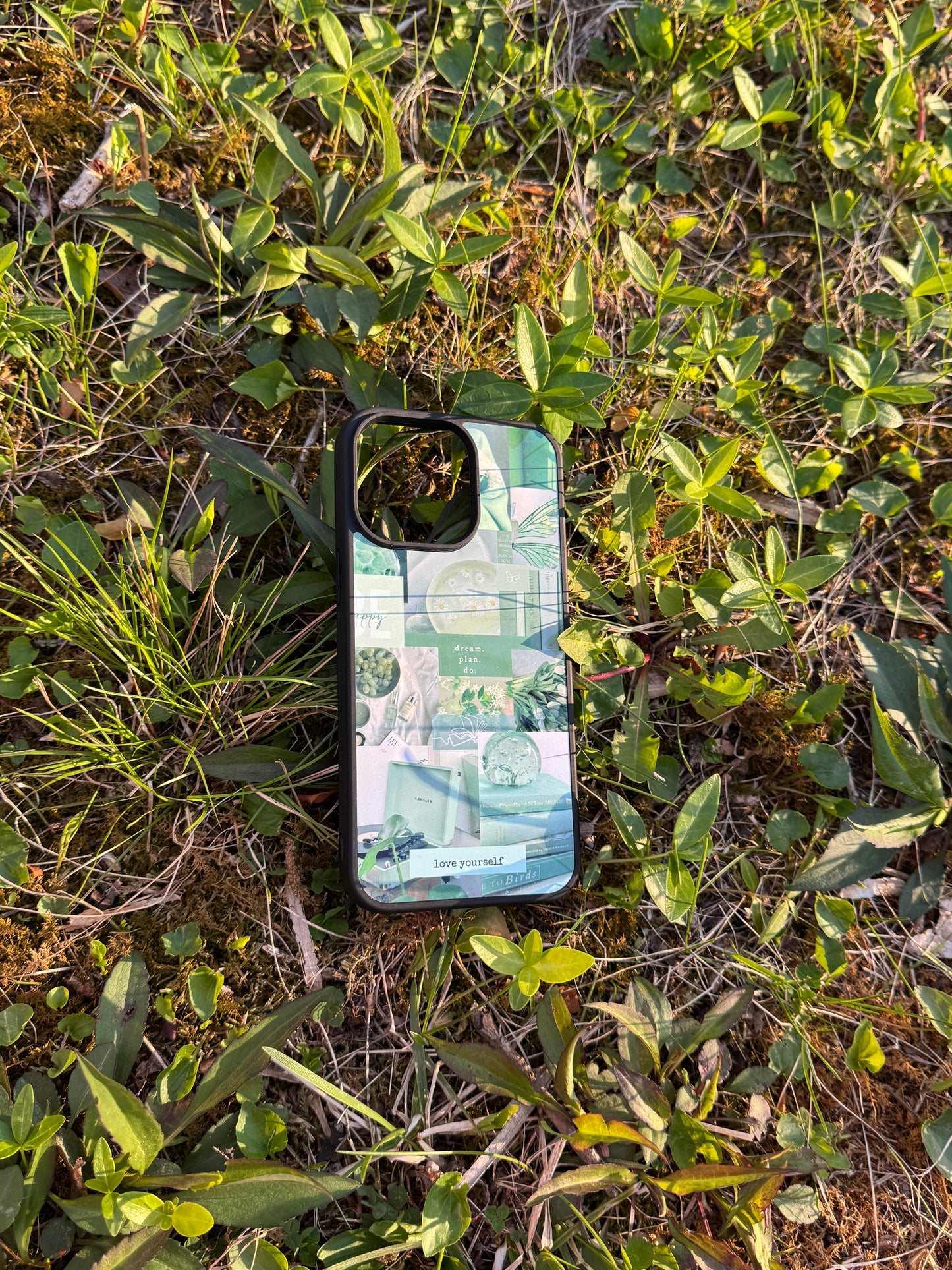 Serene Oasis Phone Case